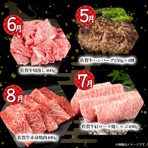 V11 佐賀牛 特選！12回定期便 佐賀牛 ブランド牛 国産牛 牛肉 肉 定期便 佐賀県 太良町
