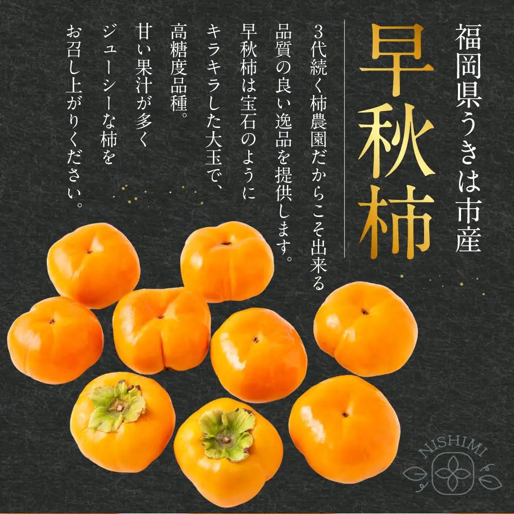 【先行予約】 西見柿農園 早秋柿 9玉から12玉 （約3kg） 【2025年10月上旬から10月中旬 出荷予定】 柿 かき カキ 早秋 そうしゅう 大玉 果物 くだもの フルーツ 果実 ジューシー 高