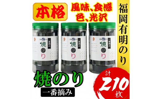 
                  福岡有明のり(焼のり)(計210枚)3本セット 有明海産の一番摘み限定[a0805][炭焼豚丼と塩ホルモンの店 西北の杜]【返礼品】添田町 ふるさと納税
                