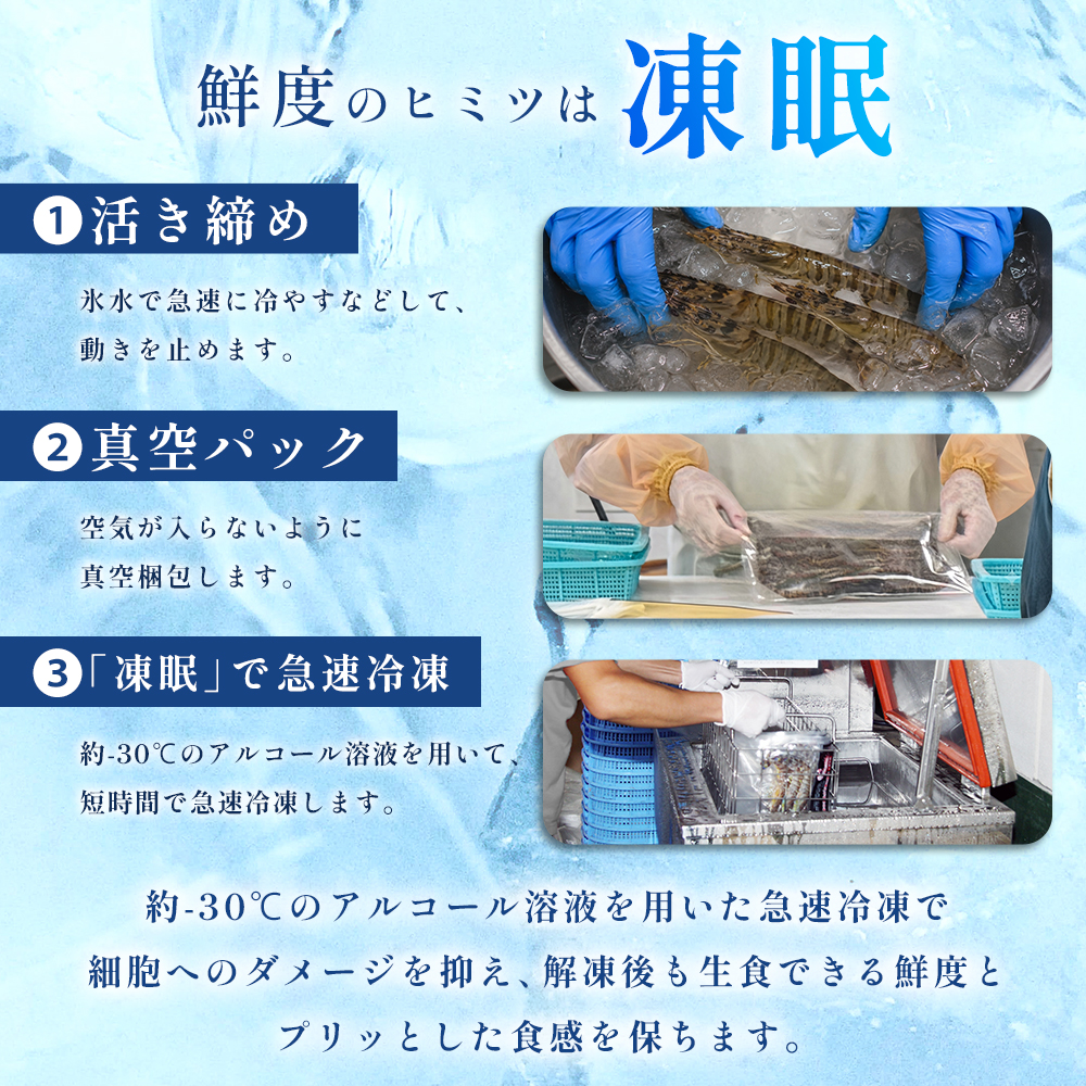 生食用凍眠凍結姫島車えび(養殖)約200ｇ(6尾～10尾)×10パック　A5