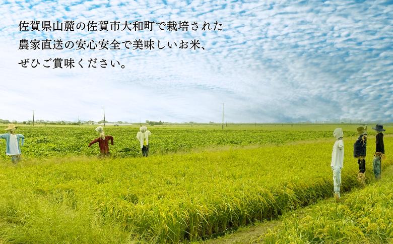 佐賀県大和産「さがびより」5kg×2袋 米 農家直送：B320-017
