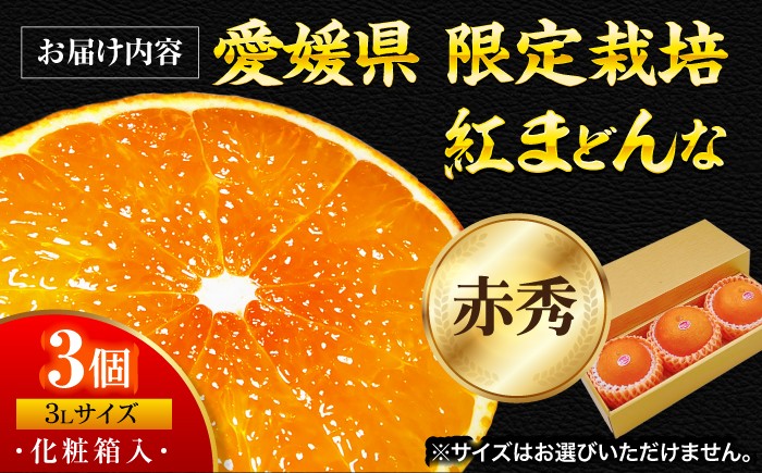 紅まどんな 赤秀 3個入（JA愛媛たいき管内産）