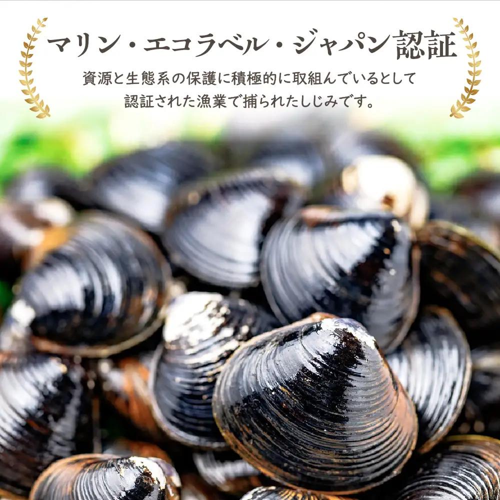 しじみ 2kg 大和しじみ中サイズ（冷凍・砂抜き済） 中貝 十三湖