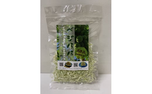 【ふるさと納税】パパイヤ 西表島産 乾燥 青パパイヤ 18袋　【果物詰合せ・フルーツ・加工食品・青パパイヤ・西表島産・乾燥パパイヤ】