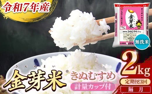 【定期便】BG無洗米・金芽米きぬむすめ 2kg×3回 （隔月）計量カップ付き【令和7年産 2ヶ月に1回 配送 3回 計6kg 半年間 6ヶ月 島根県産 健康 節水 時短 アウトドア キャンプ 東洋ライス おすすめ 島根県 安来市】【21-SS-74】