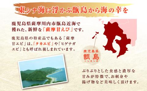 BSR-334 甑島のタカエビ（薩摩甘えび）60尾(15尾×4パック)