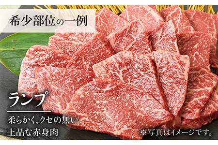 ＜6回定期便＞佐賀牛希少部位含む〜ひとり贅沢焼肉コース〜 ランプ/クリ/トウガラシ/ザブトン/カイノミなど【ミートフーズ華松】 ブランド 高級 和牛 霜降り BBQ やわらか 冷凍 料理  精肉 牛肉