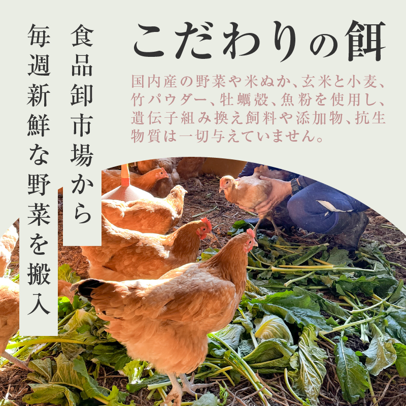 【医師監修】野菜を食べて育った平飼いの卵「名古屋コーチン ベジたま」（30個入り）