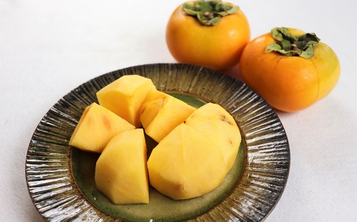 食の都庄内【令和7年産】《9・10・11月お届け-A》旬のフルーツの3ヶ月定期便 《9・10・11月お届け-A》