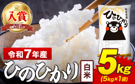 令和7年産 白米 米 ひのひかり 5kg《7-14日以内に出荷予定(土日祝除く)》熊本県 菊池市 国産 熊本県産 白米 精米 送料無料 ヒノヒカリ こめ お米  米
