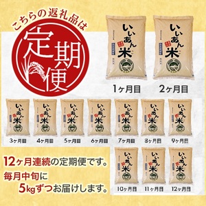 SS0006　【12回定期便】無洗米ひとめぼれ　5kg×12回(計60kg)　農家直送『いいあん米』AG