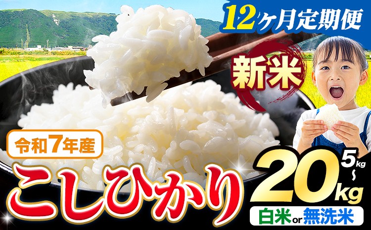 
            【12ヶ月定期便】令和7年産 新米 無洗米 も選べる こしひかり 5kg 10kg 15kg 20kg 定期便 も選べる《お申込みの翌月出荷》熊本県産 ふるさと納税 無洗米 白米 精米 ひの 米 こめ ふるさとのうぜい コシヒカリ コメ お米 おこめ
          