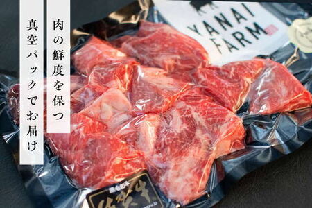 《佐賀牛》梁井 旨味たっぷり ネック＆スネ肉 600g【佐賀牛 スジ肉 赤身 コラーゲン ぷるぷる ほろほろ トロける スネ すね 煮込み料理 カレー シチュー 美味しい ブランド肉】 A3-F081