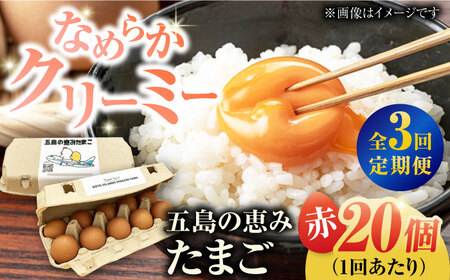 【3回定期便】【ギフトBOX】五島の恵みたまご M-Lサイズ 20個入 / 卵 赤玉子 五島市 / 五島列島大石養鶏場[PFQ011]  玉子 タマゴ 鶏卵 希少 五島列島