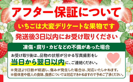 ≪先行予約≫ NATSUMI ICHIGO 女峰 約1.8kg以上 （2027年1月～6月配送） | スイーツ いちご ストロベリー 女峰 1kg以上 苺 冷蔵 フルーツ 旬 果物 香川県 デザート 
