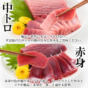 【定期便6回（毎月）】南マグロ大トロ、中トロ、赤身を半年間毎月お届け。1回分の内容量は南マグロの合計８本（１本あたり、200～230g） (大トロ×１、上トロ×２、中トロ×２、赤身×３)。幻のマグロと