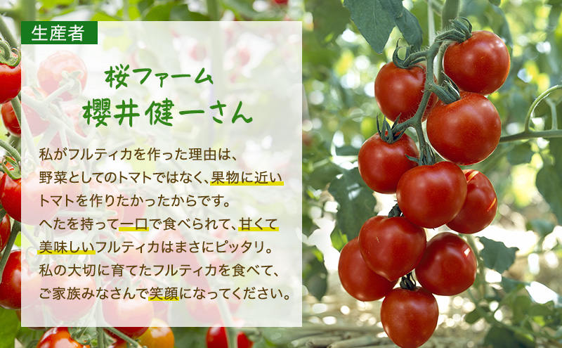 桜ファームの中玉トマト『フルティカ』1.5kg とまと おいしい 箱入り ボックス 安心安全 農家直送 樹上完熟 ジュース ピューレ ソース ペースト 野菜