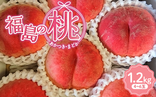 【五十沢ブランド】福島の桃 （あかつきorまどか）1.2kg（4～6玉）2025年出荷分 先行予約  もも モモ 桃 デザート フルーツ 果物 くだもの 果実 食品 F20C-934
