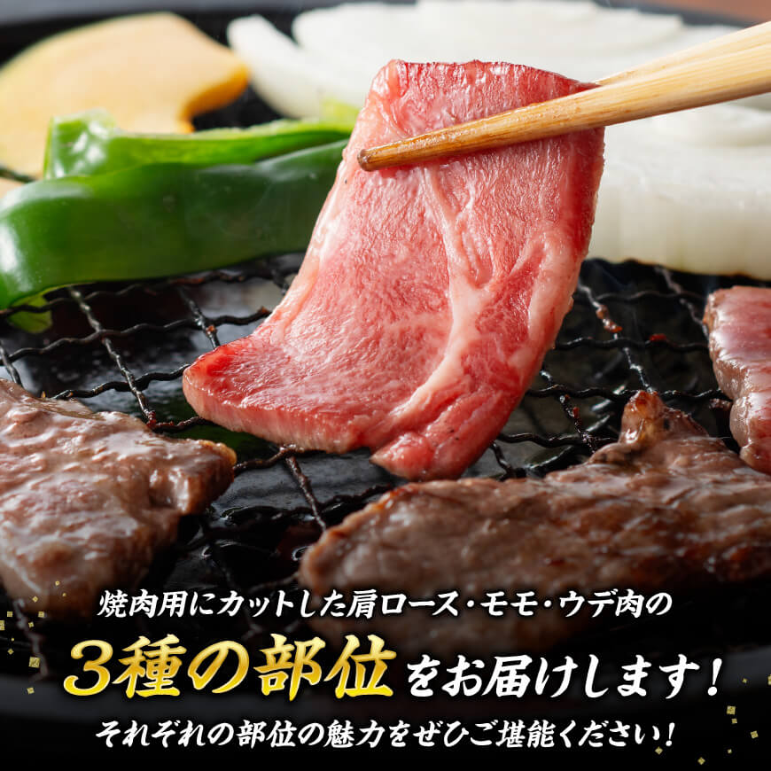 宮崎牛 焼肉 3種 計1.1kg 【 肉 牛 牛肉 国産 黒毛和牛 宮崎牛 BBQ 焼肉 カタロース モモ ウデ 】 [D00603]