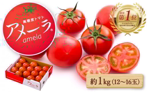 【2025年6月配送】アメーラ トマト 約 1kg 12-16玉