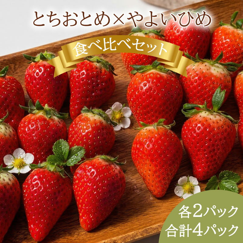 【ふるさと納税】 いちご 約1kg とちおとめ やよいひめ 2種類 食べ比べセット （250g × 4パック） 各2パック