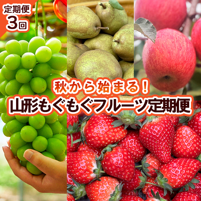 【定期便3回】秋から始まる！山形もぐもぐフルーツ定期便 
