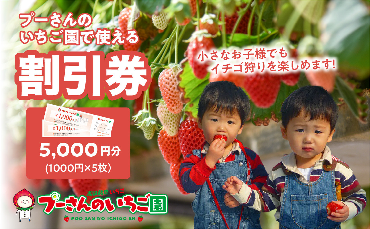 
            プーさんのいちご園　割引券（5,000円分）イチゴ狩り 割引 チケット いちご イチゴ 苺 体験型 福岡県 八女市
          