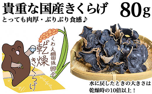 
            国産きくらげ80g（20g×4パック）
          