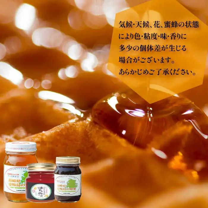 ニホンミツバチ 生蜂蜜 600g [JCL001]  はちみつ ハチミツ