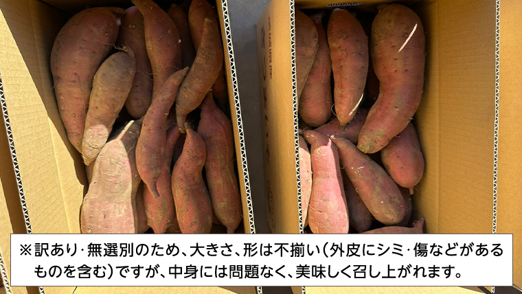 【 先行予約 2024年11月中旬以降発送 】 訳あり 無選別 八千代町産 紅はるか シルクスイート 2種 食べ比べ 生芋 土付き 合計 約 10kg さつまいも サツマイモ 芋 いも イモ ワケアリ