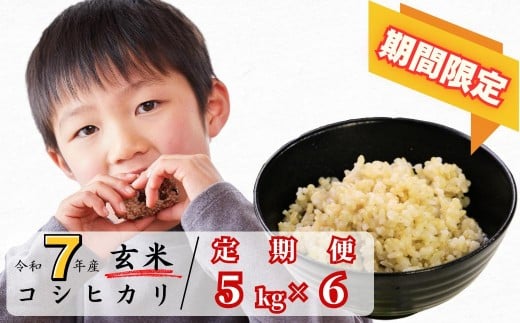 《期間限定》【6回定期便】玄米 5kg 令和7年産 コシヒカリ 岡山 あわくら源流米 K-ab-CEGA