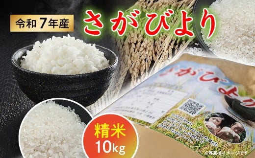 
            令和７年産 さがびより 精米 白米 10kg (10kg×1袋)【数量限定】 _d-90
          