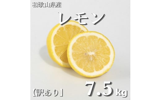 
            和歌山産 レモン 7.5kg  ［訳あり］ ［US2］
          