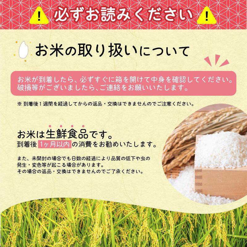 令和7年産 清流寒河江川育ち はえぬき 4kg（2kg×2袋） 山形県産 2025年産 精米 4キロ　009-C-JA050 4kg