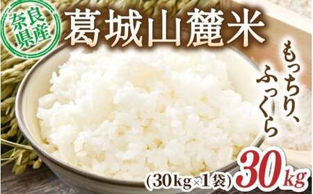 先行予約 葛城山麓米 ヒノヒカリ（白米）計30kg [ 30kg×1袋 ] 令和7年産 【2025年10月下旬～順次発送】／ スマイル葛城農業 精米 ごはん お米 米 おいしい ふっくら 農家直送 奈良県 葛城市【smlk015】