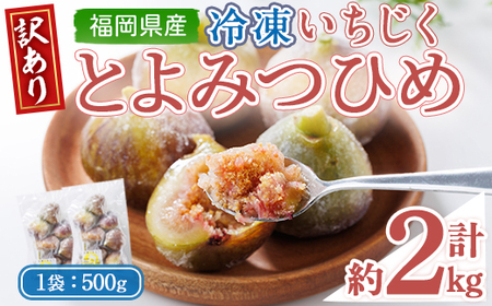＜不揃い・訳あり＞ 冷凍いちじく博多 とよみつひめ (計約2kg) 冷凍 いちじく イチジク フルーツ 果物 くだもの 福岡限定 オリジナルブランド＜離島配送不可＞ 【ksg1757】【農産物直売所ほたるの里】