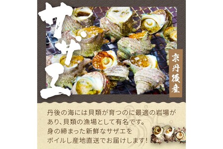大満足！京丹後・海鮮BBQ　Fセット　豪華盛り合わせ　生ズワイガニ　アワビ付　7種23品（4～5人前）