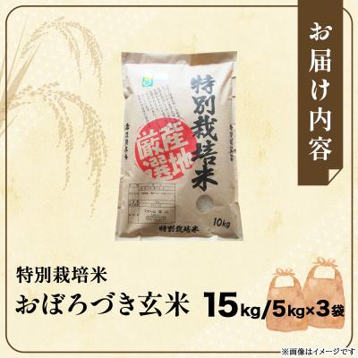 ふるさと納税 岩見沢市 令和7年産!ファーム坂口の特別栽培米 おぼろづき玄米15kg(5kg×3) |  | 03