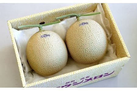 【毎月定期便】クラウンメロン 規格外大玉2玉 全6回 6224