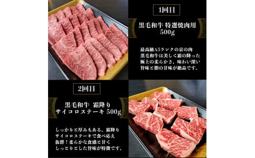 訳あり 京都府産黒毛和牛(A4・A5)人気部位 6回定期便【焼肉・すき焼き・ステーキ2種・しゃぶしゃぶ・ローストビーフ 計2.54kg】京の肉 ひら山 味わいづくし≪定期便 和牛 牛肉 国産 京都 丹