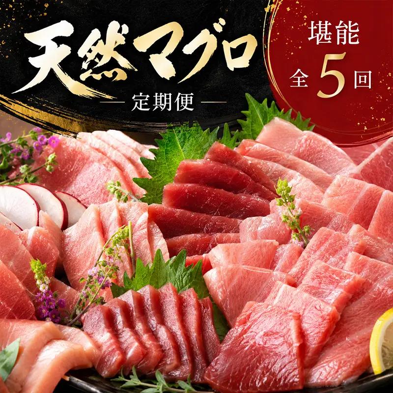 【定期便/計5回】天然マグロ（食べ比べ）【まぐろ】ge008 FN-Limited-PR