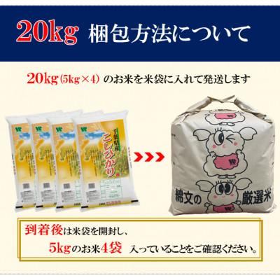 ふるさと納税 大網白里市 【令和7年産】【特A評価】千葉県産「コシヒカリ」精米 20kg(5kg×4袋) |  | 01