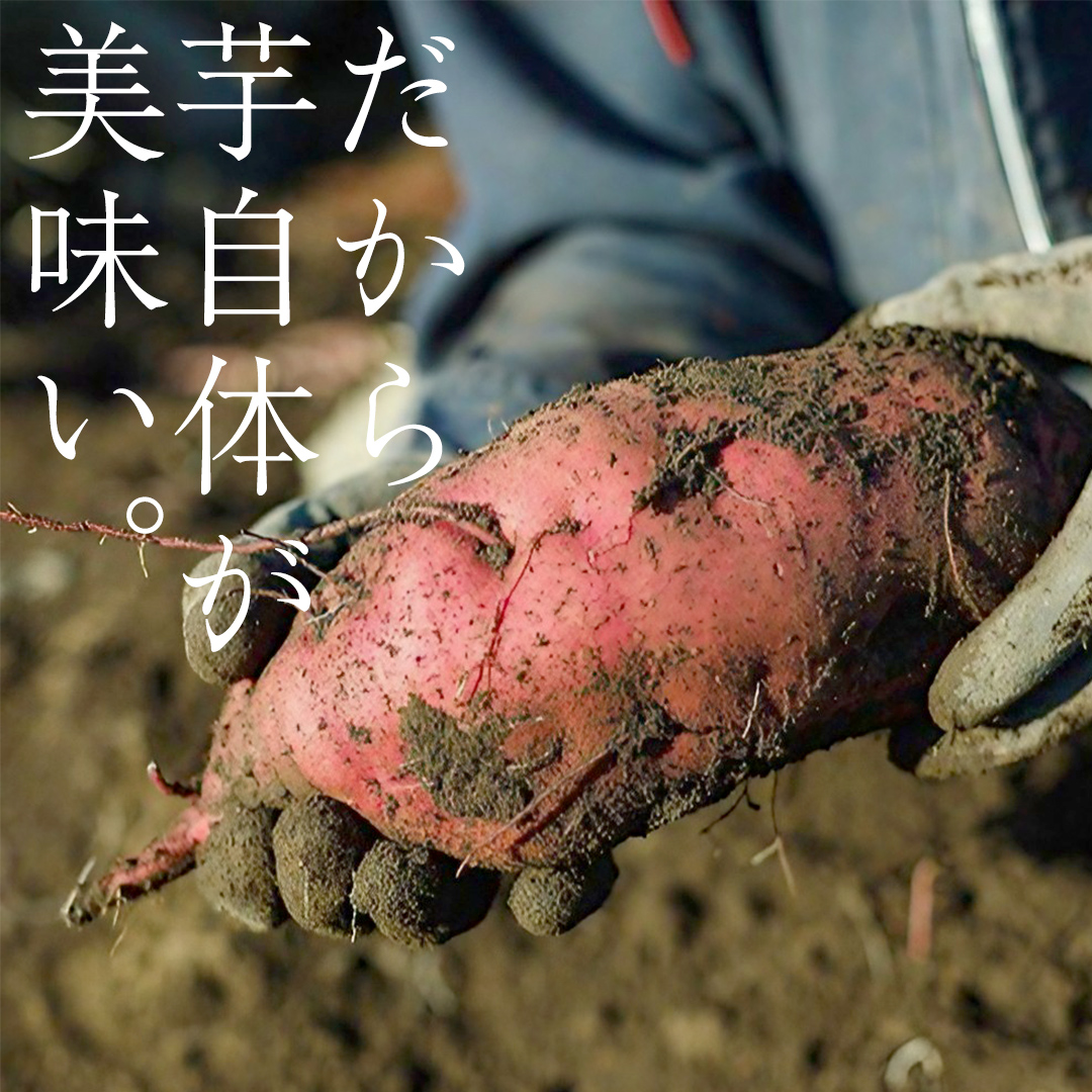 ＼ スピード発送対応 ／【 照沼クオリティ 】 干しいも 紅