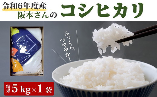 
            コシヒカリ 精米5kg 令和6年産 ｜ 久万高原町 米 新米 お米 こめ コメ 愛媛 ※2024年9月中旬頃より順次発送予定 ※離島への配送不可
          