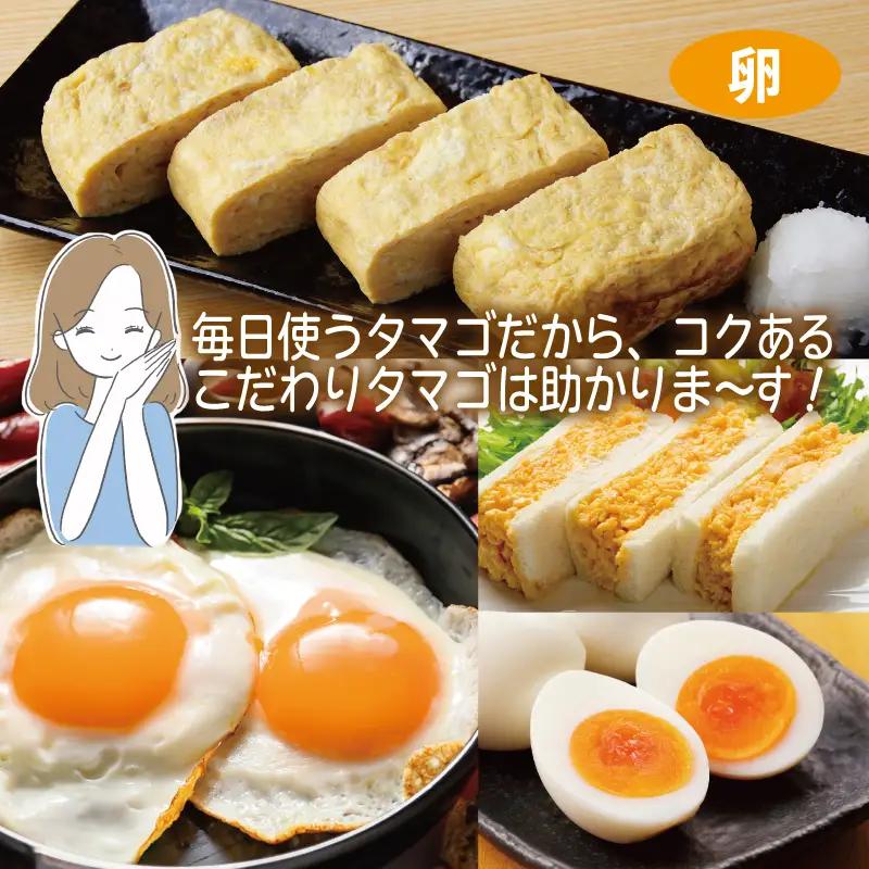 099S015 主婦が選んだ 普段使いにおすすめセット（銀鮭 切り身 たまご 野菜）