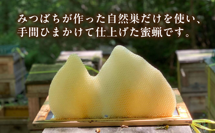 恵那 蜜蝋セット (Sランク蜜蝋200g:100g2枚) 国産 蜜蝋 ハンドメイド 恵那市 / はち工房こうけつ [AUDF021]