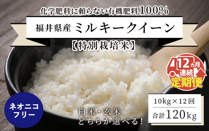 
            【先行予約】 【令和7年産・新米】 【12ヶ月連続お届け】【特別栽培米】福井県産 ミルキークイーン10kg×12回 計120kg ～化学肥料にたよらない100%の有機肥料～ ネオニコフリー 【2025年10月上旬以降順次発送予定】【 白米 玄米 お米 ごはん 10キロ 産地直送 定期便 お楽しみ ふるさと納税米 】 [O-13402]
          