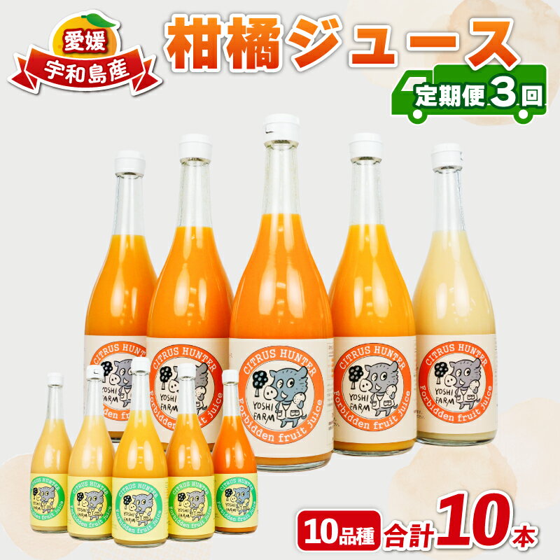 【ふるさと納税】 柑橘 ジュース 定期便 全3回 720ml 3本 × 2回 4本 × 1回 計10本 ヨシファーム 100%ジュース いろいろ 蜜柑 ジュース ストレートジュース みかんジュース 蜜柑 mikan 果汁 柑橘 果物 フルーツ 農家直送 産地直送 数量限定 国産 愛媛 宇和島 H030-067008