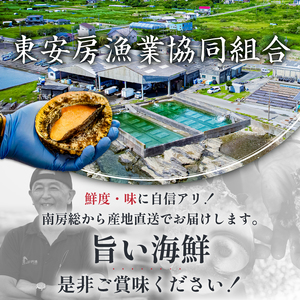 【先行受付 2026年5月～9月上旬発送予定】房州産天然黒あわび約1.1kg mi0014-0009