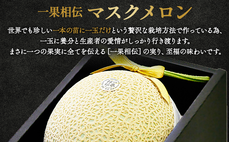 ※写真はイメージです